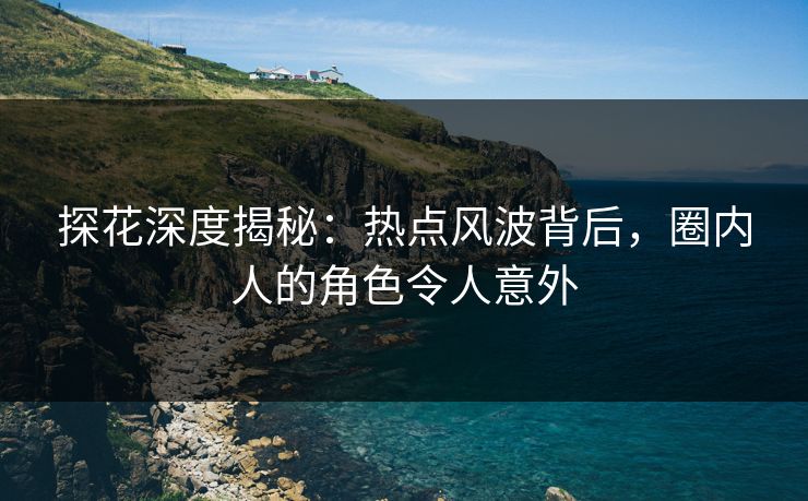 探花深度揭秘：热点风波背后，圈内人的角色令人意外