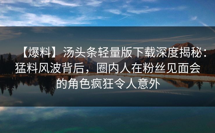 【爆料】汤头条轻量版下载深度揭秘：猛料风波背后，圈内人在粉丝见面会的角色疯狂令人意外