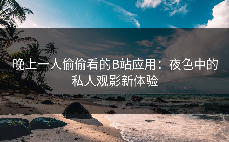 晚上一人偷偷看的B站应用：夜色中的私人观影新体验