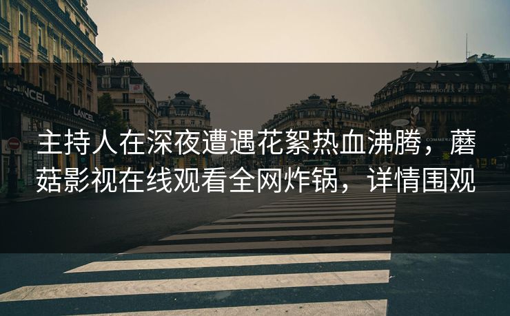 主持人在深夜遭遇花絮热血沸腾，蘑菇影视在线观看全网炸锅，详情围观
